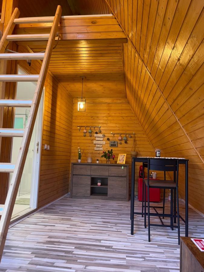 Cabane A-Frame Svinita Esterno foto