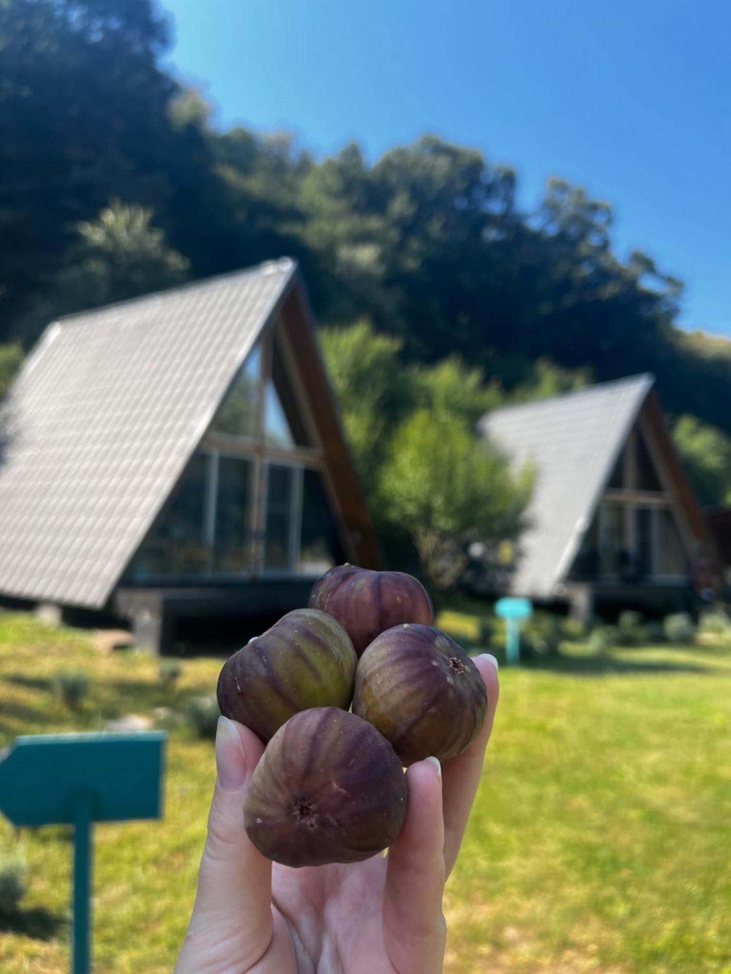 Cabane A-Frame Svinita Esterno foto