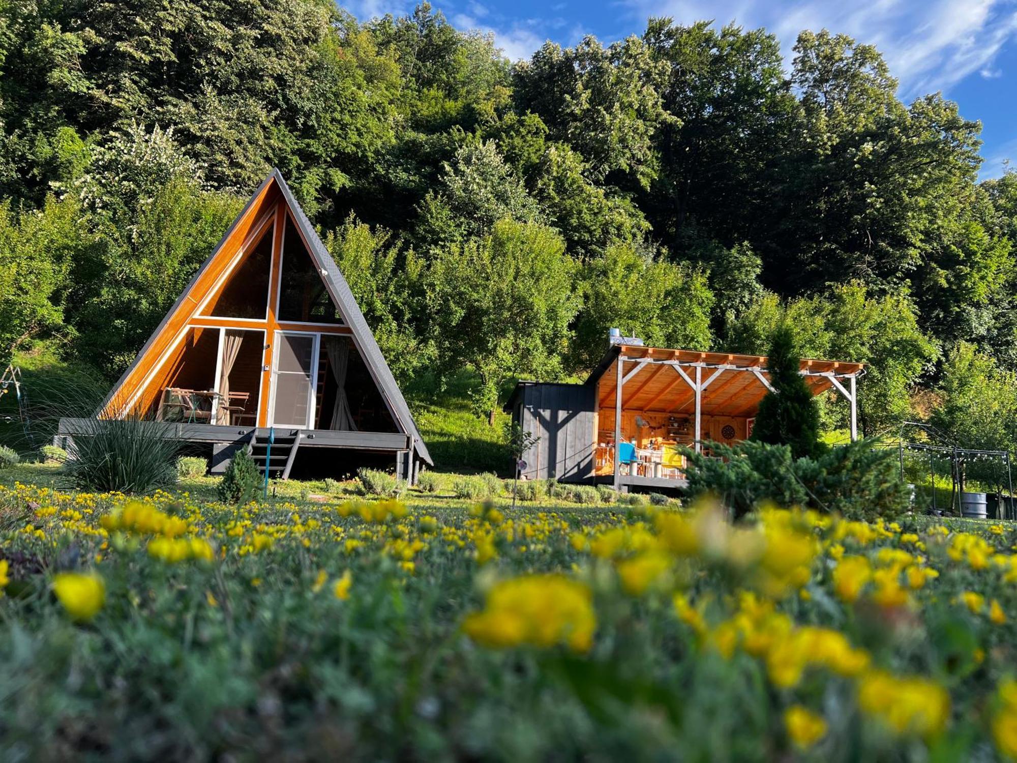 Cabane A-Frame Svinita Esterno foto